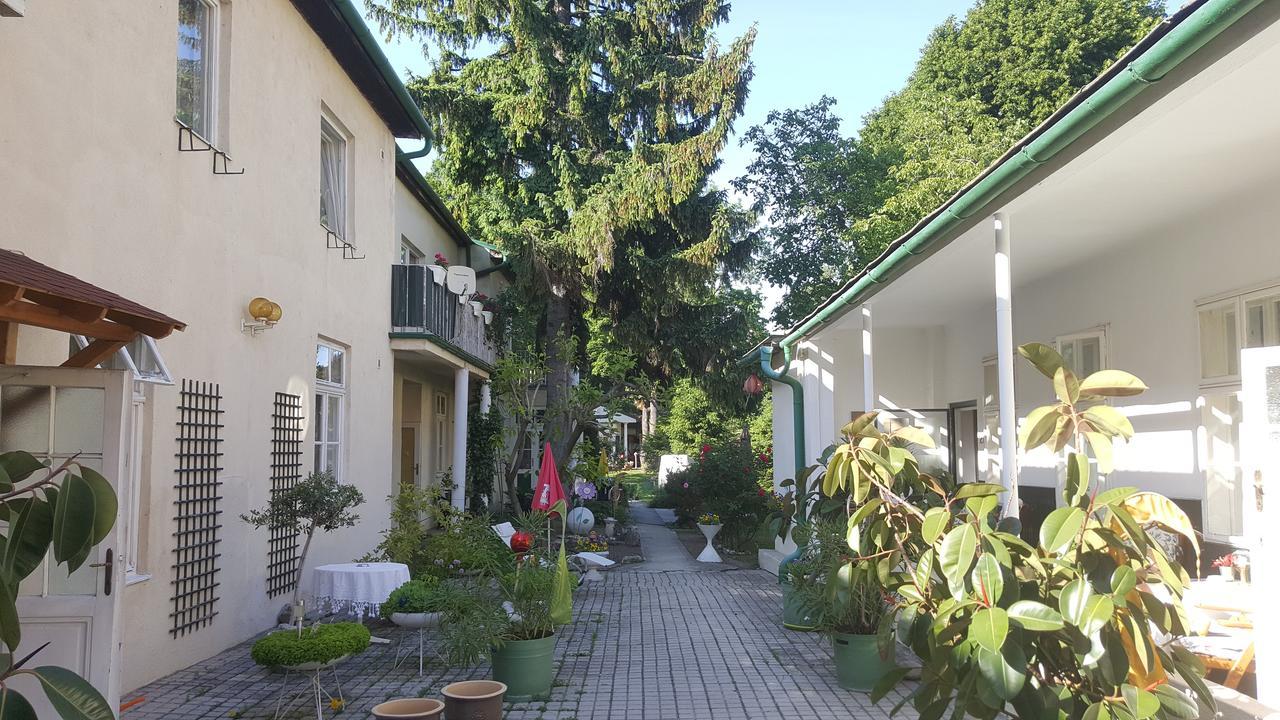 Pension Margit Баден Экстерьер фото